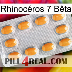 Rhinocéros 7 Bêta cialis3